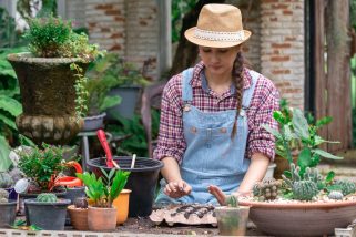 Comment louer son matériel de bricolage ou jardinage à des particuliers