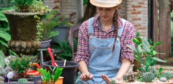 Comment louer son matériel de bricolage ou jardinage à des particuliers