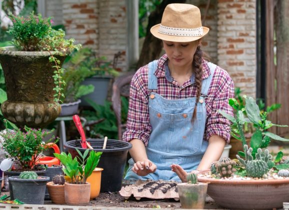 Comment louer son matériel de bricolage ou jardinage à des particuliers